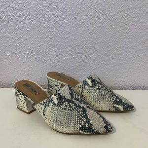 Steve Madden pointed snake mule